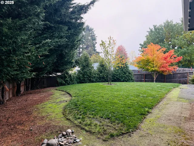 a view of a yard with plants and large trees