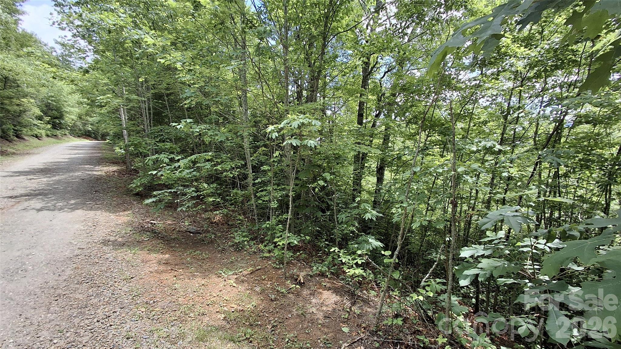 Lot 29 Signal Ridge, Unit 29 Sylva, NC 28779 - Photo 10 of 12