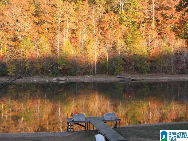 1420 County Road 201 Delta, AL 36258 - Photo 12 of 20