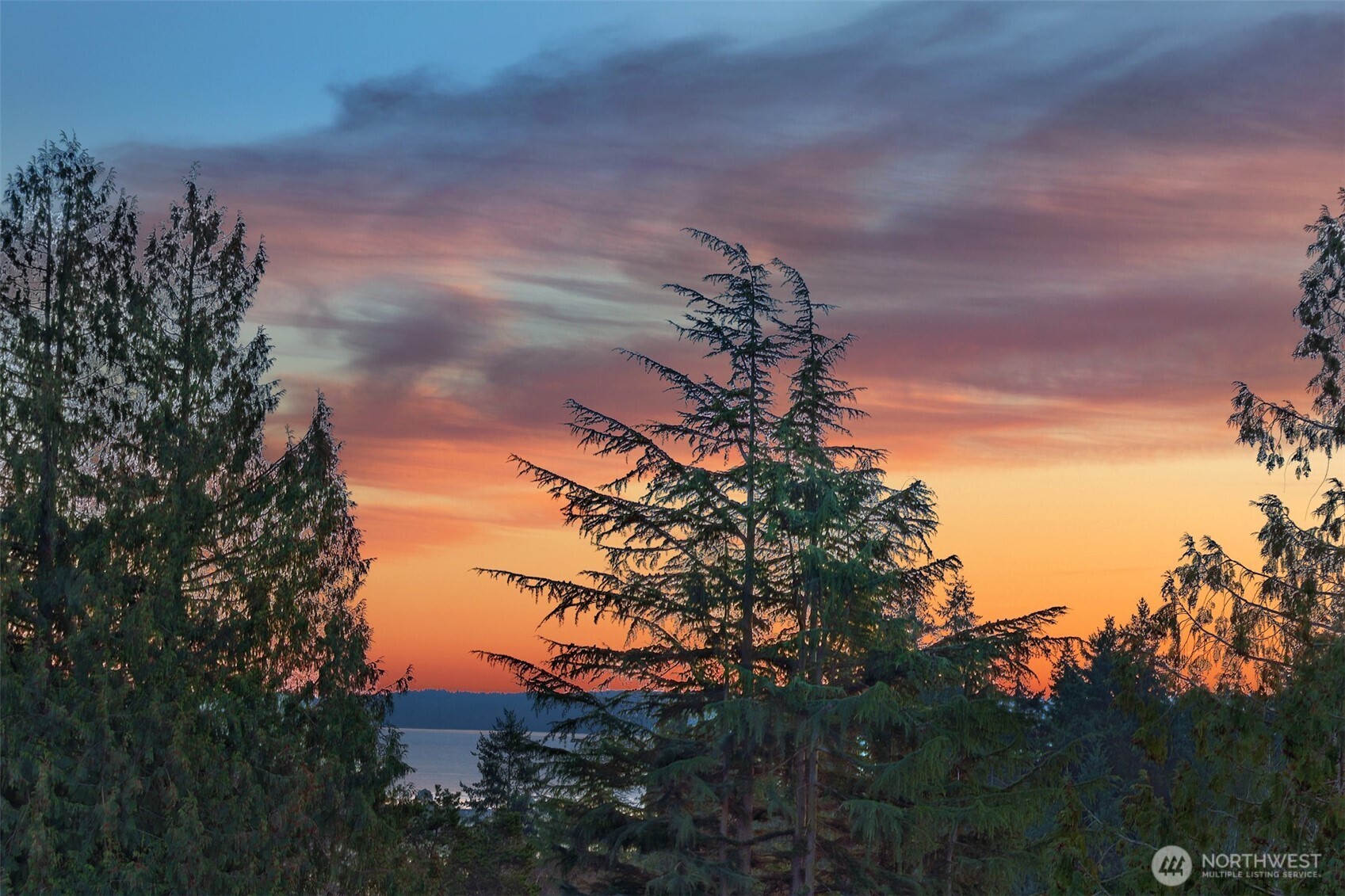 8026 46th Avenue Southwest Seattle, WA 98136 - Photo 40 of 40