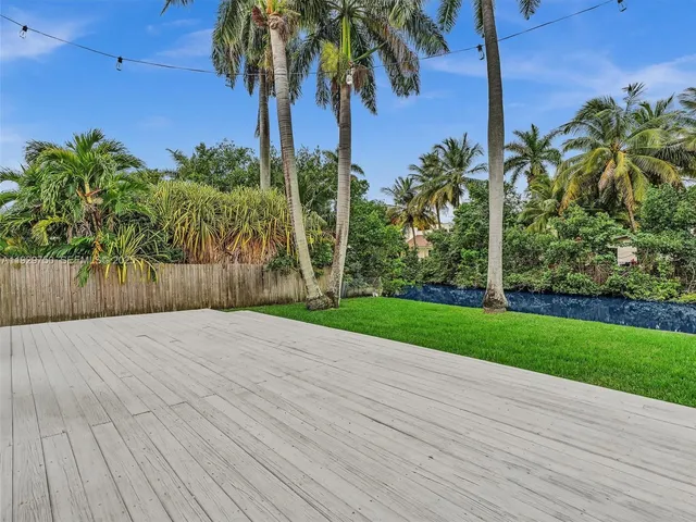 a view of a yard and a palm tree