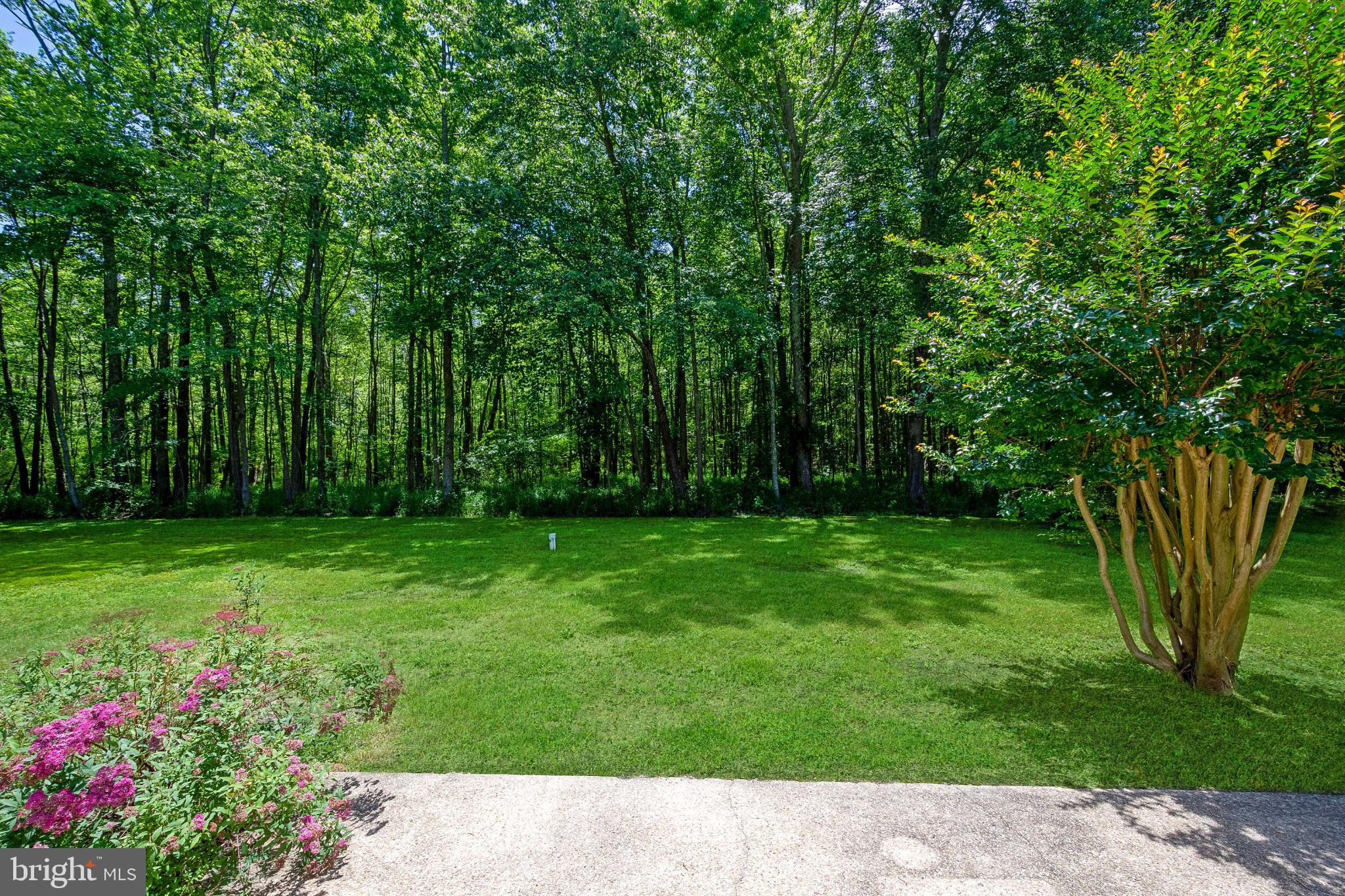 1469 Cedarhurst Road Shady Side, MD 20764 - Photo 17 of 19 Lush green retreat bordered by tranquil woods.