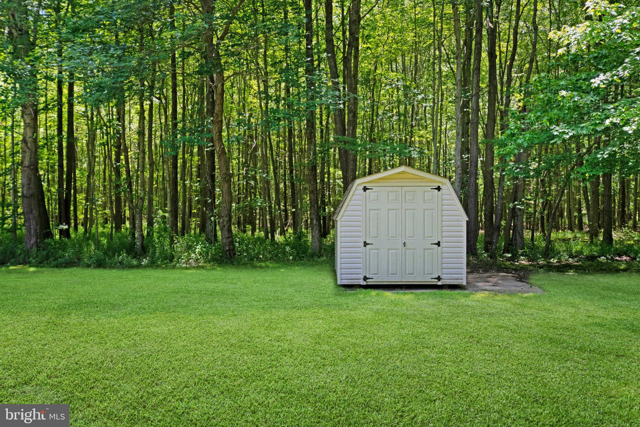 1469 Cedarhurst Road Shady Side, MD 20764 - Photo 18 of 19 Charming shed nestled in lush greenery.