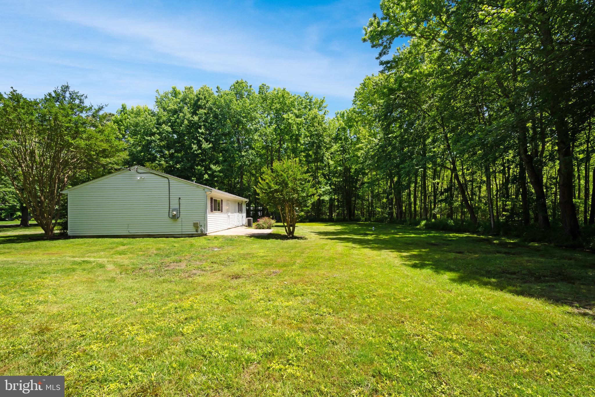 1469 Cedarhurst Road Shady Side, MD 20764 - Photo 19 of 19 Serene home nestled in lush greenery.