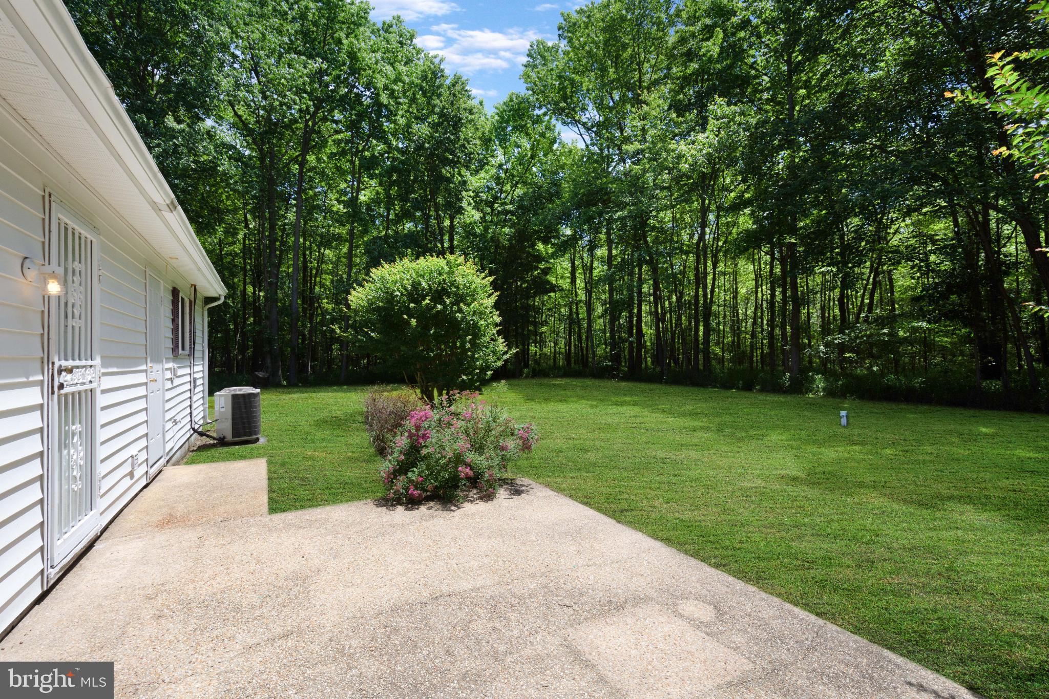 1469 Cedarhurst Road Shady Side, MD 20764 - Photo 3 of 19 Serene backyard oasis surrounded by nature.