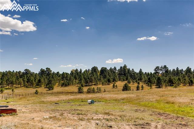 15665 Softwood Road Elbert, CO 80106 - Photo 19 of 19