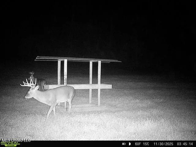 $850,000 | 14937 Highway 24, Woodville, MS 39669