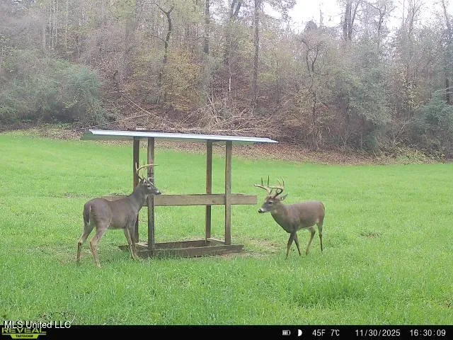 $850,000 | 14937 Highway 24, Woodville, MS 39669