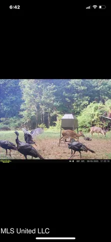 $850,000 | 14937 Highway 24, Woodville, MS 39669