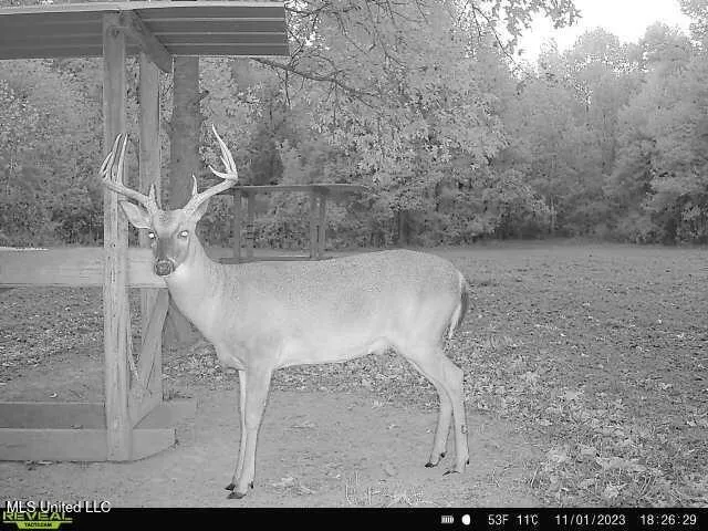 $850,000 | 14937 Highway 24, Woodville, MS 39669