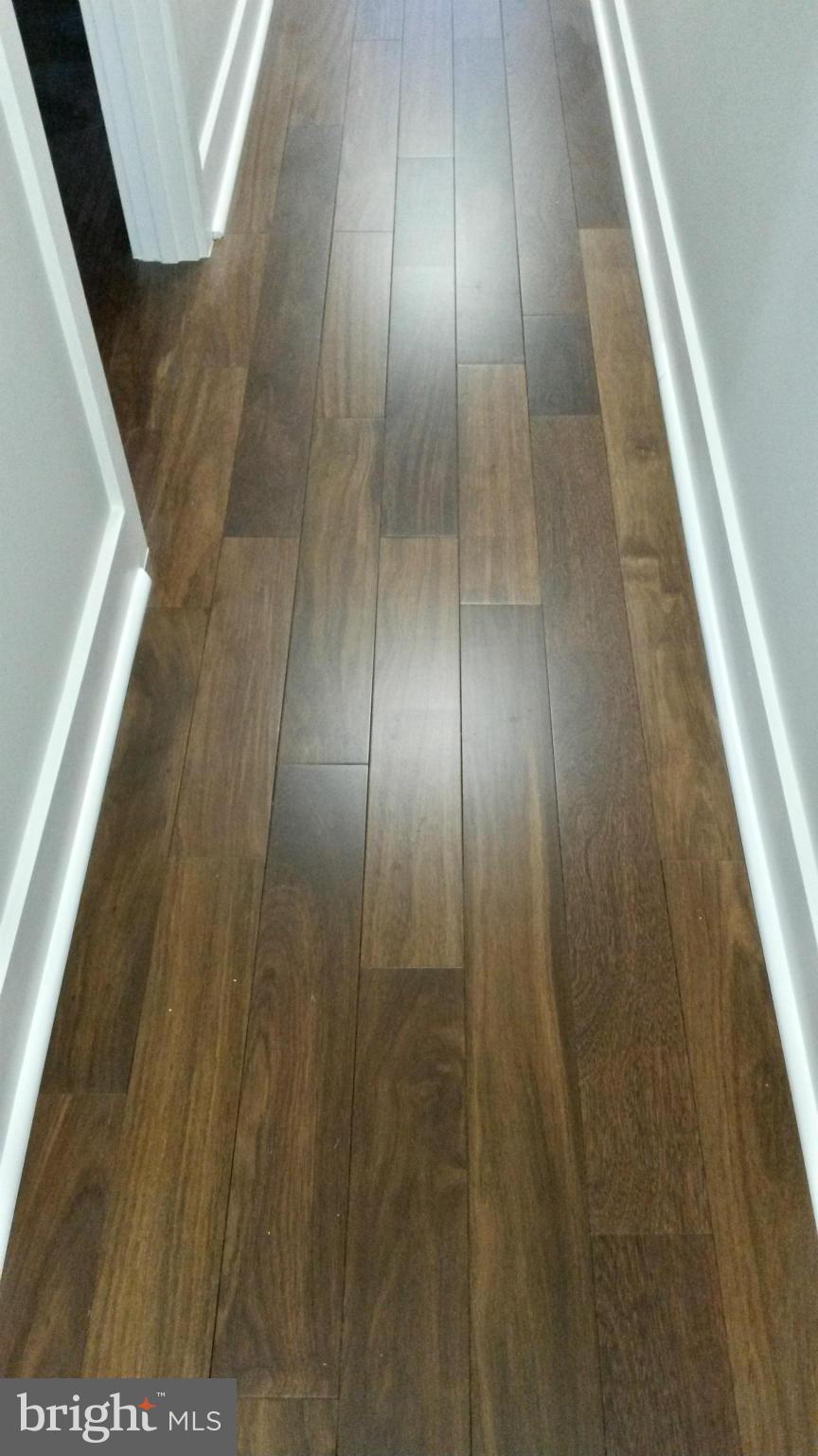 73 U Street Northwest, Unit 2 Washington, DC 20001 - Photo 8 of 30 Brazilian Chestnut Wood Floors
