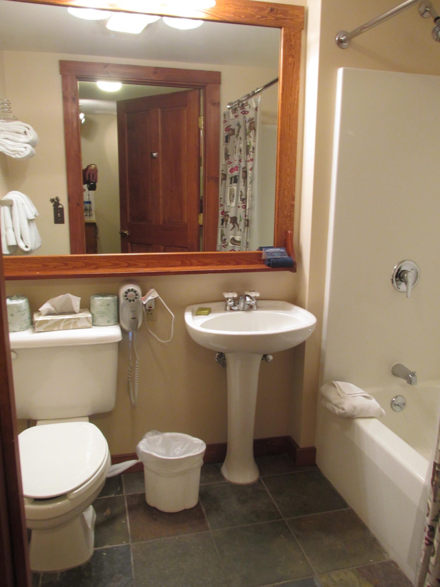 459 Rimfire Snowshoe, WV 26209 - Photo 10 of 15 Gallery Image 10