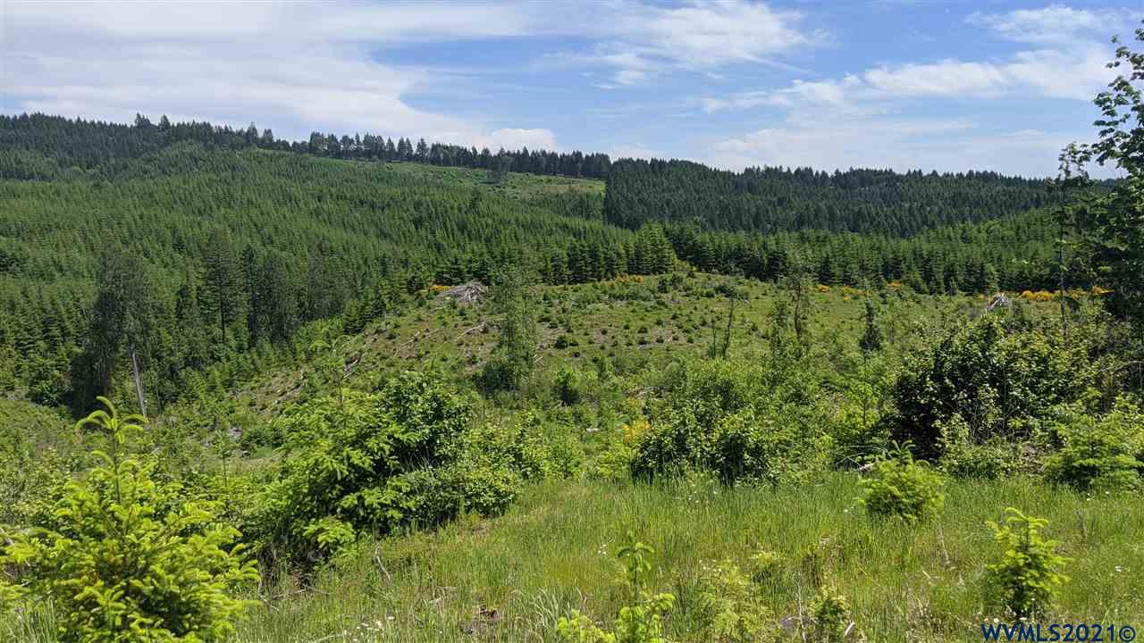 Northwest Timmerman Road Forest Grove, OR 97116 - Photo 4 of 17 Gallery Image 4