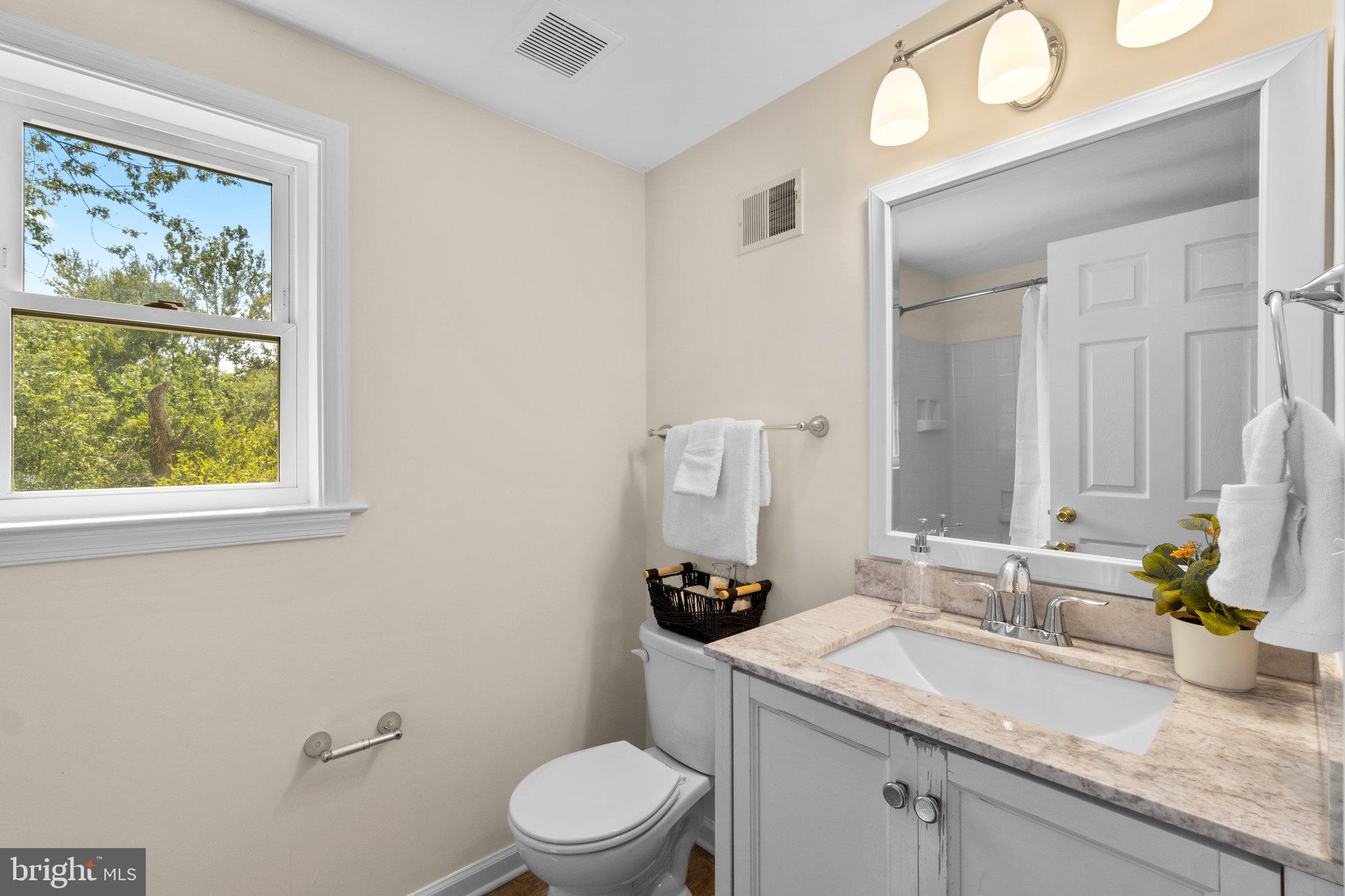 4075 Watson Lane Union Bridge, MD 21791 - Photo 21 of 45 Upper level hallway bath, granite vanity.