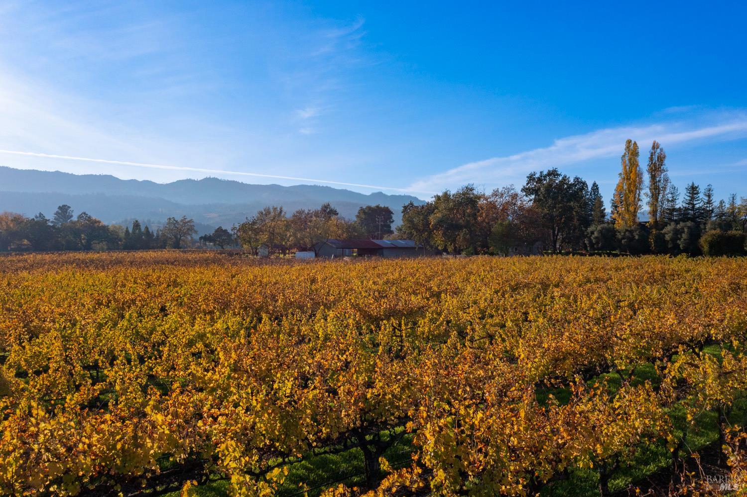 1135 Galleron Road St. Helena, CA 94574 - Photo 11 of 21 a view of lake and mountain