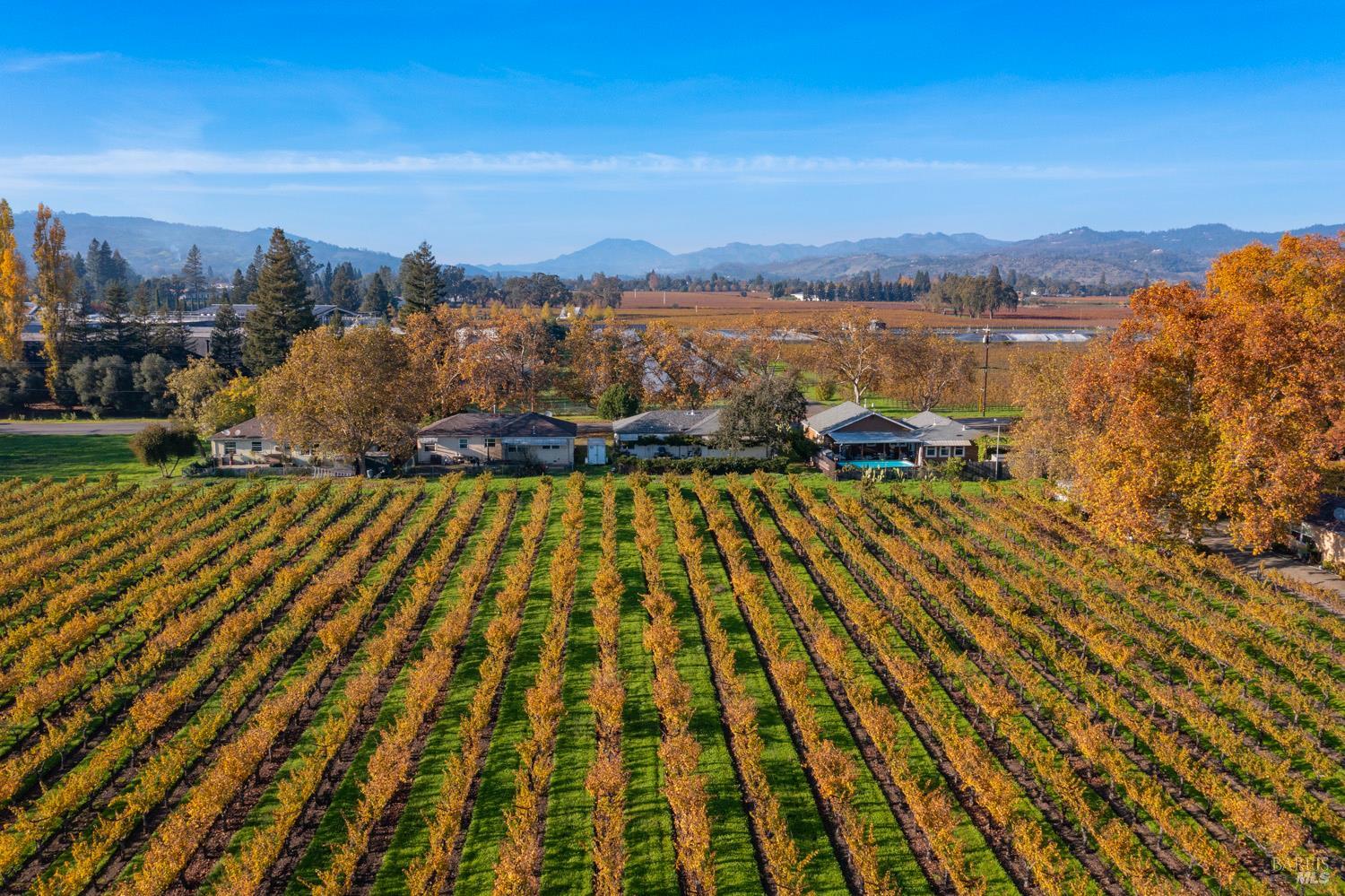 1135 Galleron Road St. Helena, CA 94574 - Photo 17 of 21 a view of outdoor space and city view