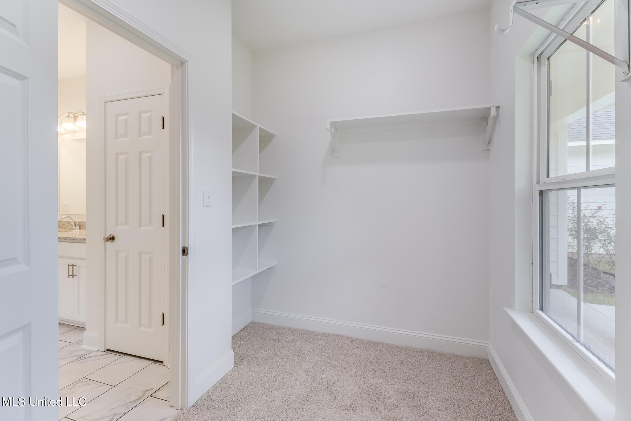 22052 Pine Haven Saucier, MS 39574 - Photo 12 of 21 Primary Closet
