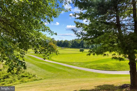 a view of a swimming pool with a yard
