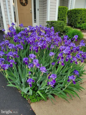 $485,000 | 5111 Wyndham Rose Cove, Centreville, VA 20120