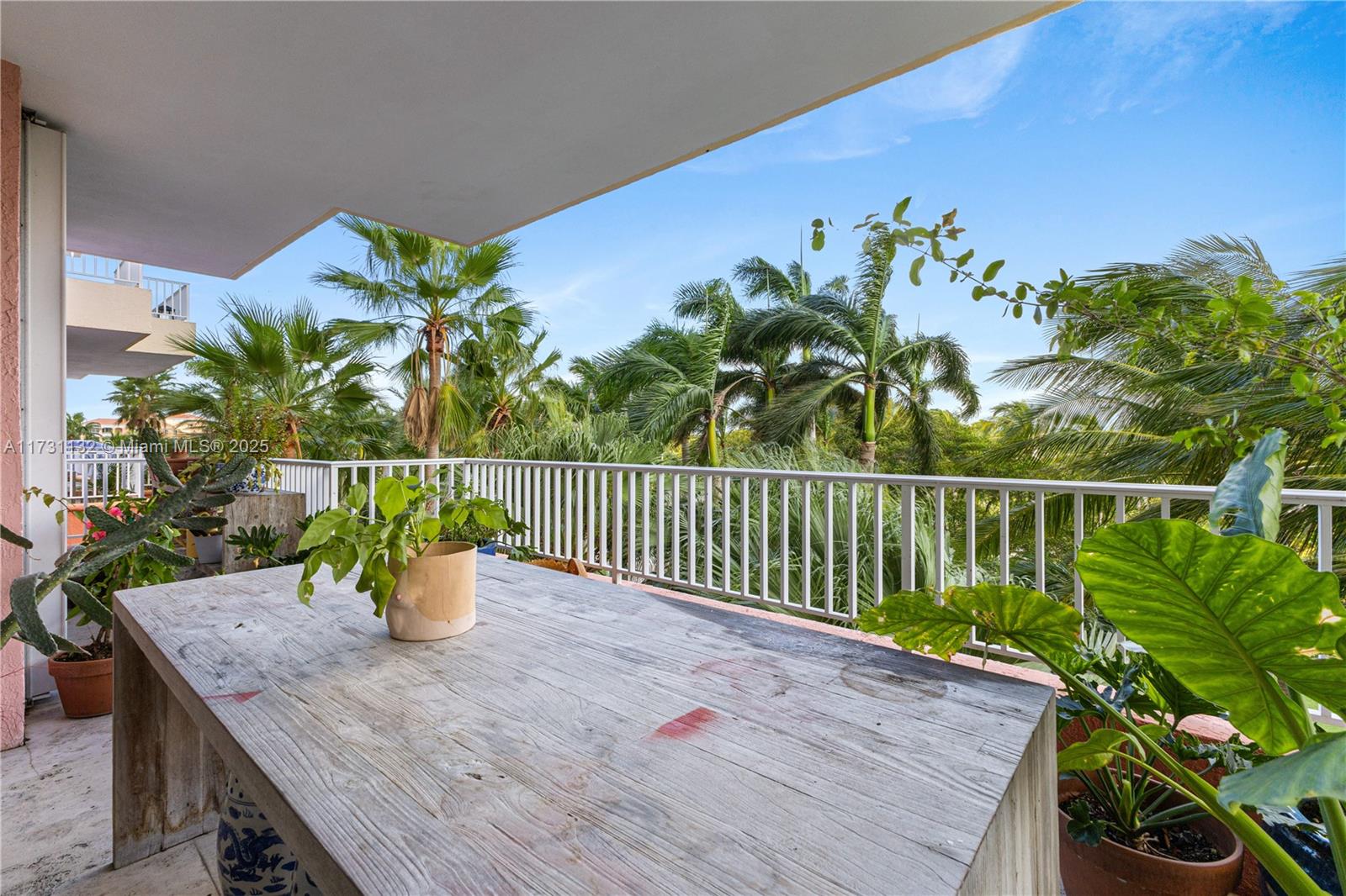 781 Crandon Boulevard, Unit 406 Key Biscayne, FL 33149 - Photo 10 of 35 a view of a balcony with a potted plant