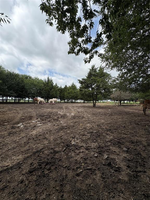 Tbd Palmyra Road Palmer, TX 75152 - Photo 17 of 31 a view of outdoor space with mountain view