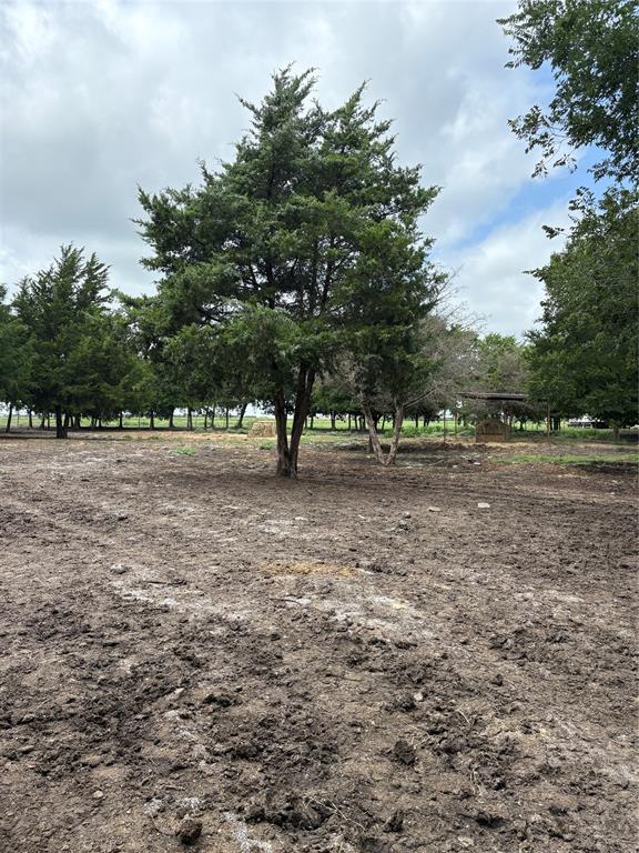 Tbd Palmyra Road Palmer, TX 75152 - Photo 31 of 31 a view of dirt field with trees