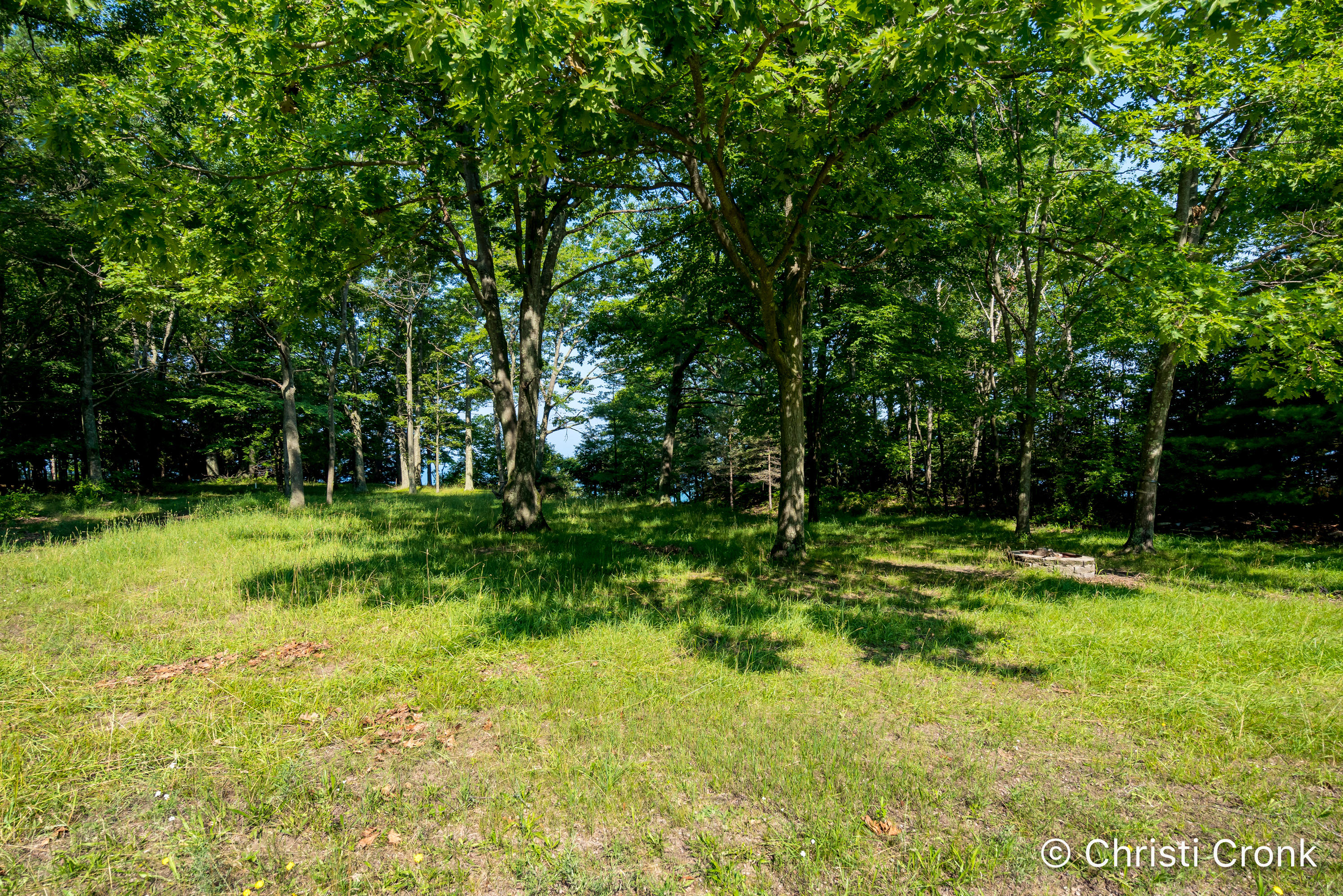 8370 West Harrison Road Mears, MI 49436 - Photo 28 of 30 DSC04322-Edit-2