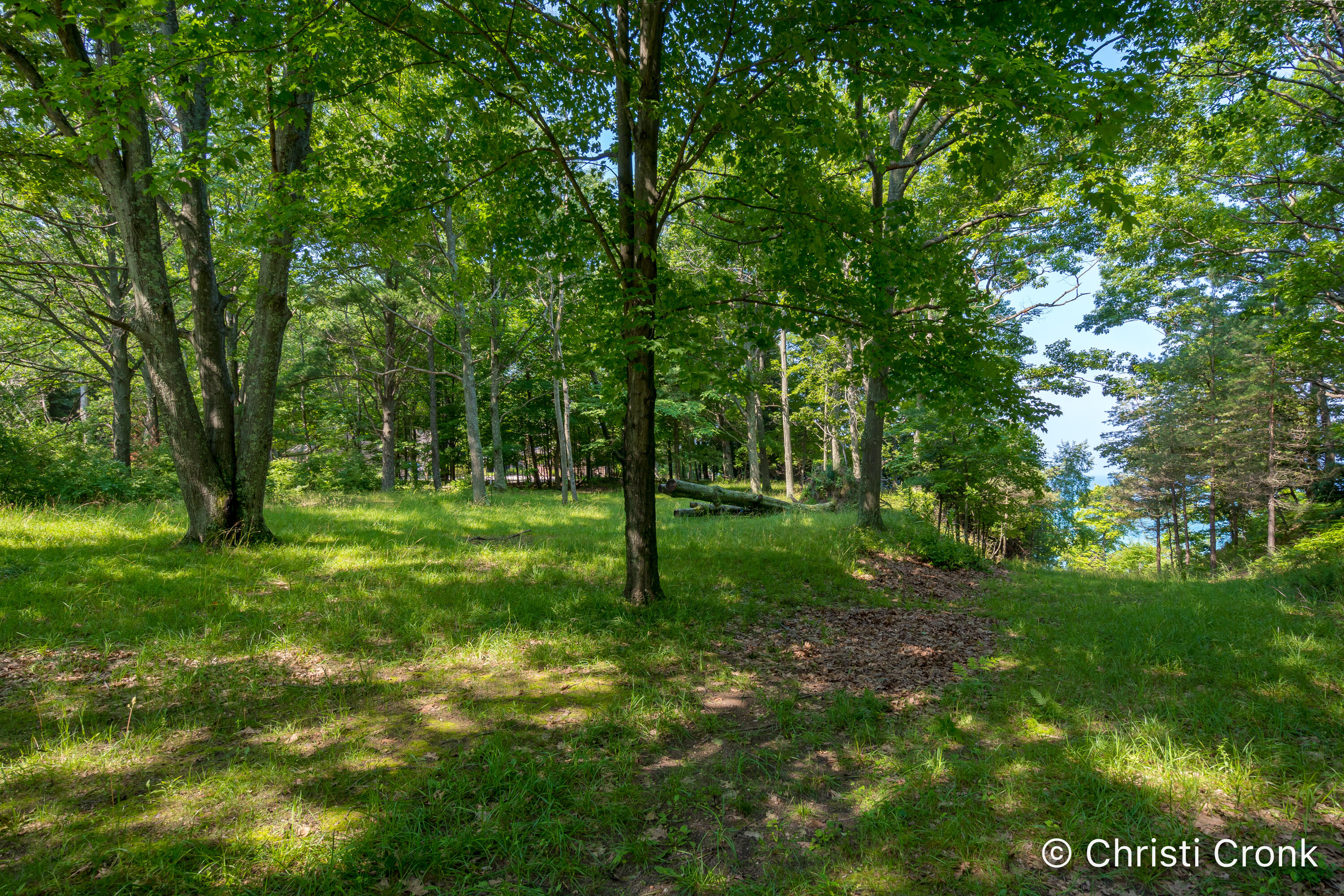8370 West Harrison Road Mears, MI 49436 - Photo 30 of 30 DSC04337-Edit-5