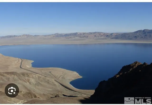 a view of a yard with wooden floor