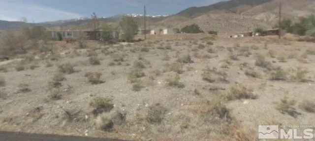 a view of a dry yard