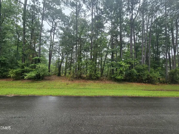 a small yard with trees in the background