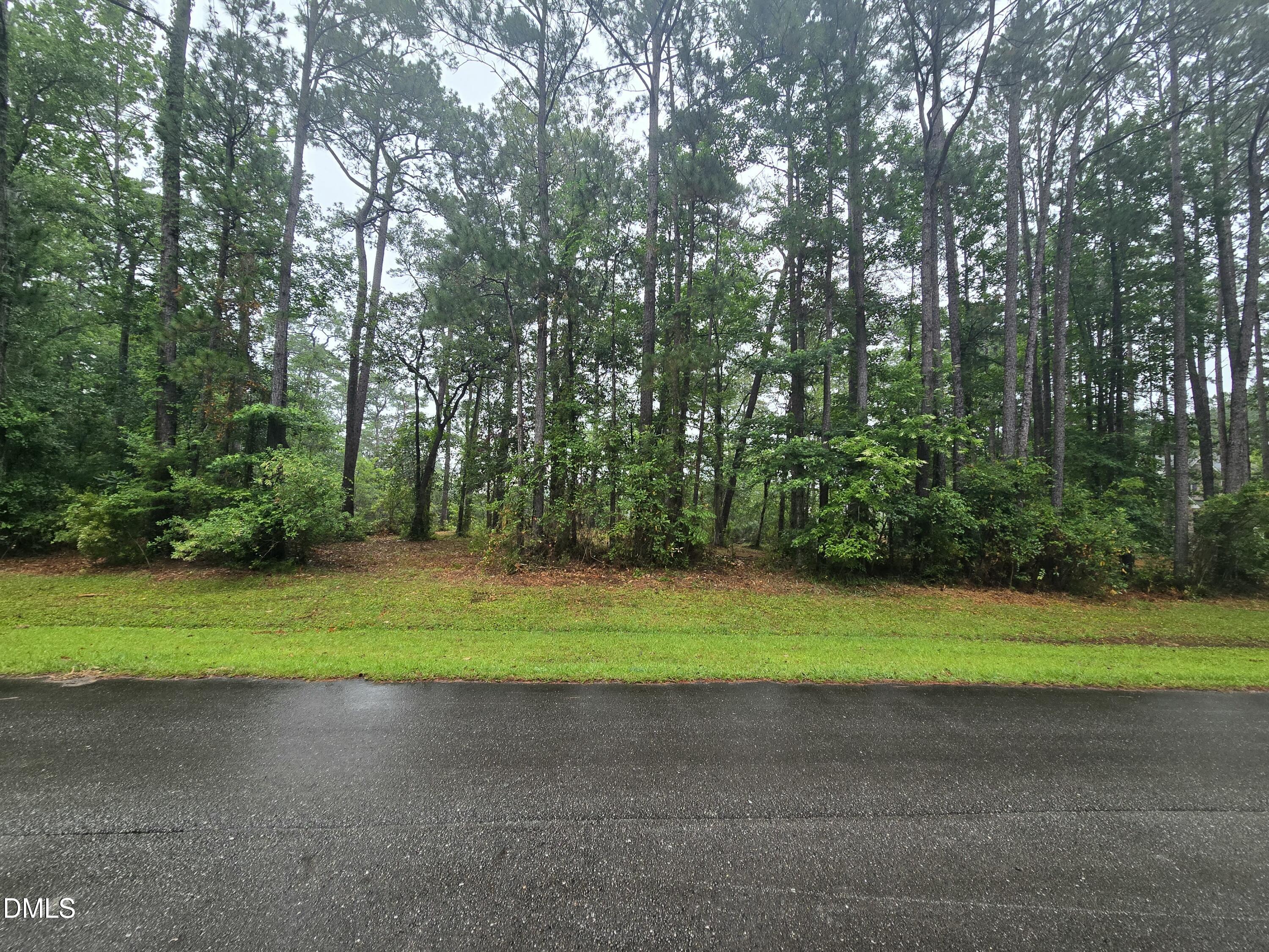 488 Bay Shores Road Merritt, NC 28556 - Photo 1 of 5 a small yard with trees in the background