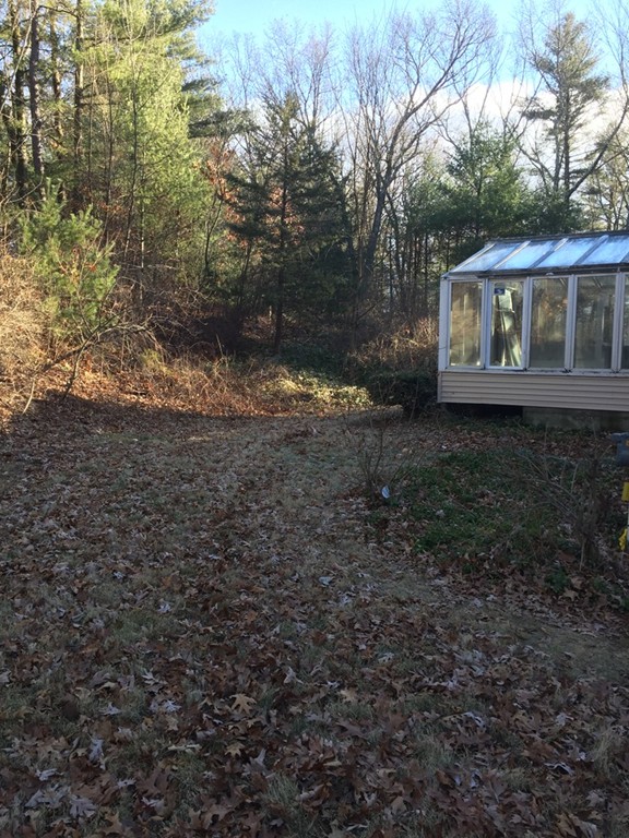 3 Pomfret Road Chelmsford, MA 01824 - Photo 4 of 22 a view of a yard with plants and trees