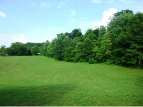 Tbd Payne Ridge Road Church Hill, TN 37642 - Photo 3 of 13 Photo 3
