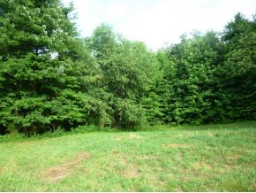 Tbd Payne Ridge Road Church Hill, TN 37642 - Photo 4 of 13 Photo 4