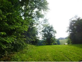 Tbd Payne Ridge Road Church Hill, TN 37642 - Photo 5 of 13 Photo 5