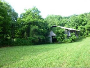 Tbd Payne Ridge Road Church Hill, TN 37642 - Photo 6 of 13 Photo 6