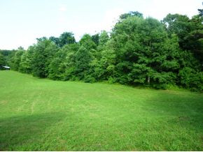 Tbd Payne Ridge Road Church Hill, TN 37642 - Photo 7 of 13 Photo 7
