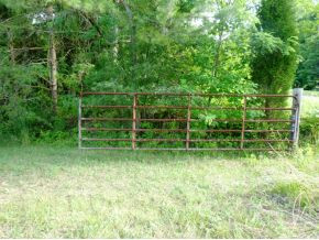 Tbd Payne Ridge Road Church Hill, TN 37642 - Photo 8 of 13 Photo 8