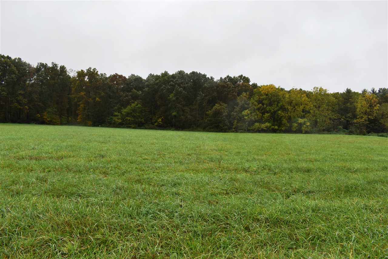 2598 Newtown Road Elkton, VA 22827 - Photo 16 of 41 Gallery Image 16