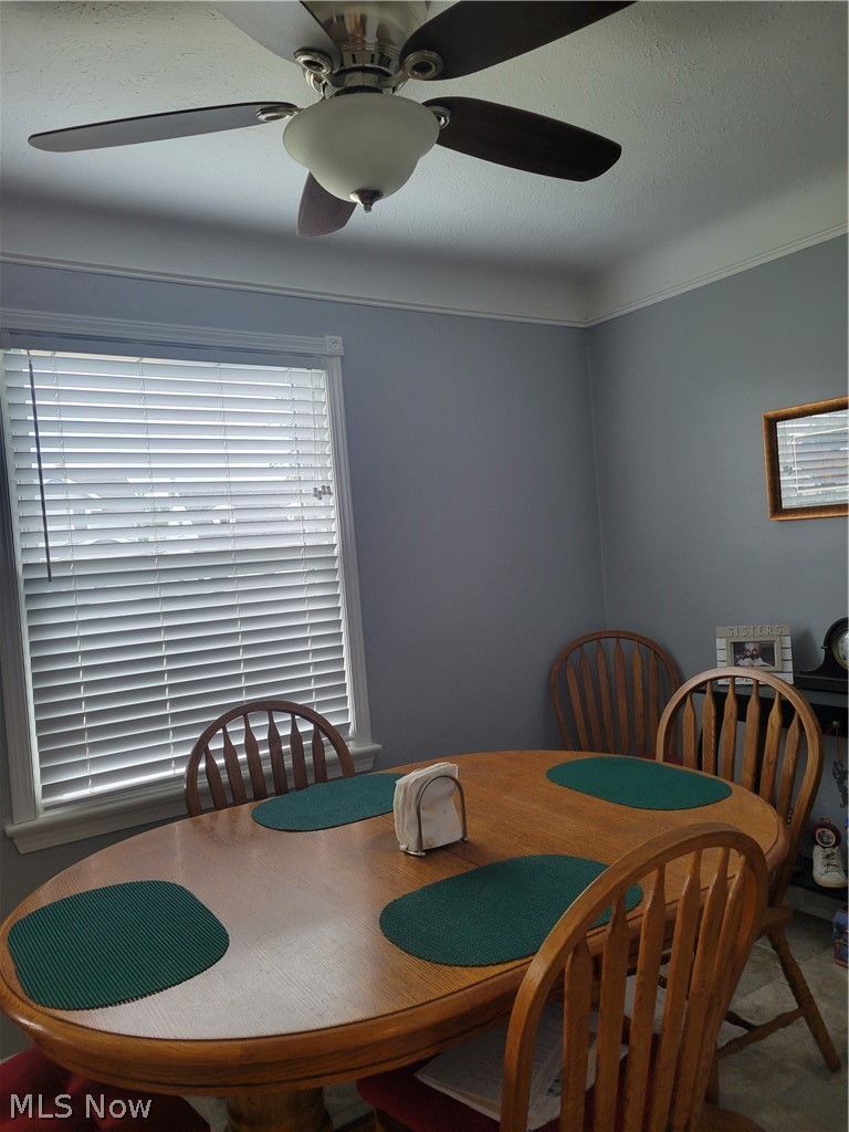 5907 Snow Road Parma, OH 44129 - Photo 13 of 29 Plenty of natural light