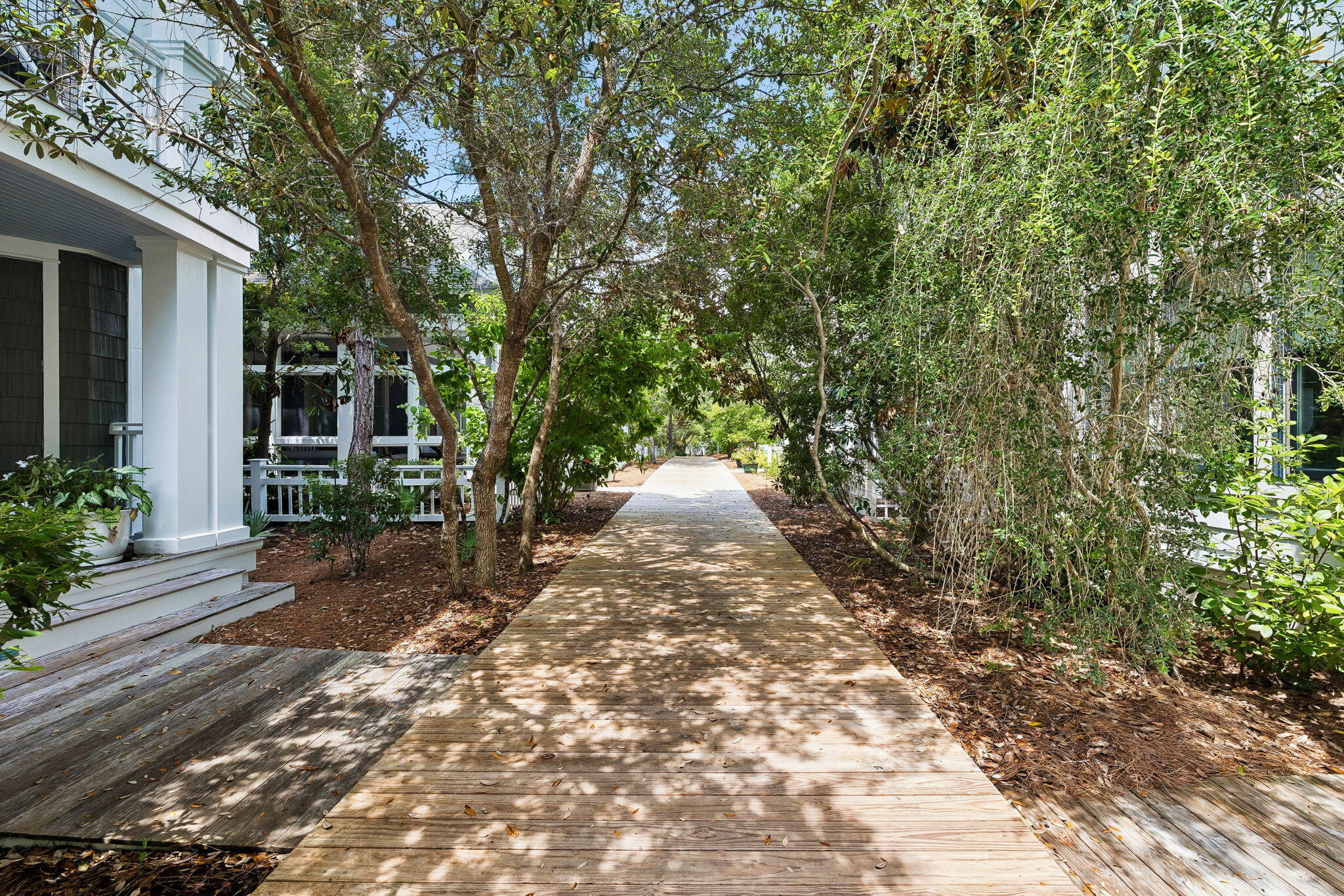 51 Shingle Lane Inlet Beach, FL 32461 - Photo 61 of 71 a view of a yard with plants and trees