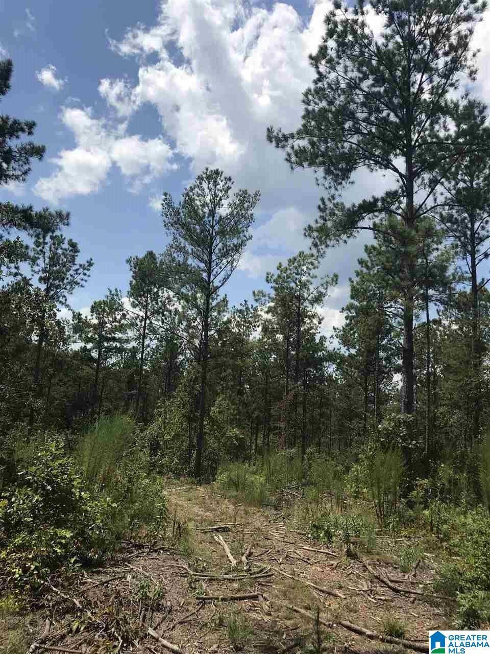 0 County Road 454 Clanton, AL 35046 - Photo 3 of 7