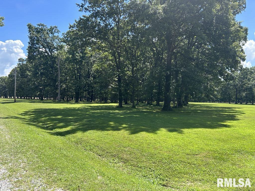 50-51 Deer Park Drive Dix, IL 62830 - Photo 2 of 17