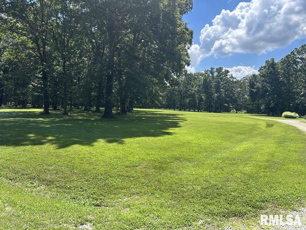 50-51 Deer Park Drive Dix, IL 62830 - Photo 3 of 17