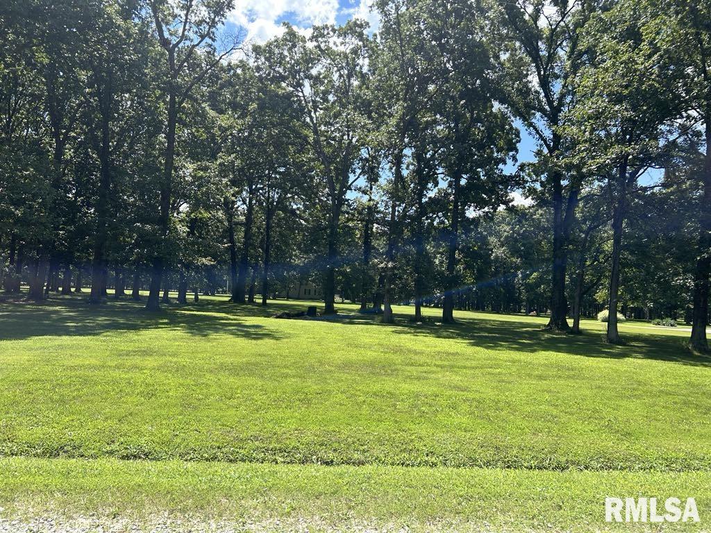 50-51 Deer Park Drive Dix, IL 62830 - Photo 4 of 17