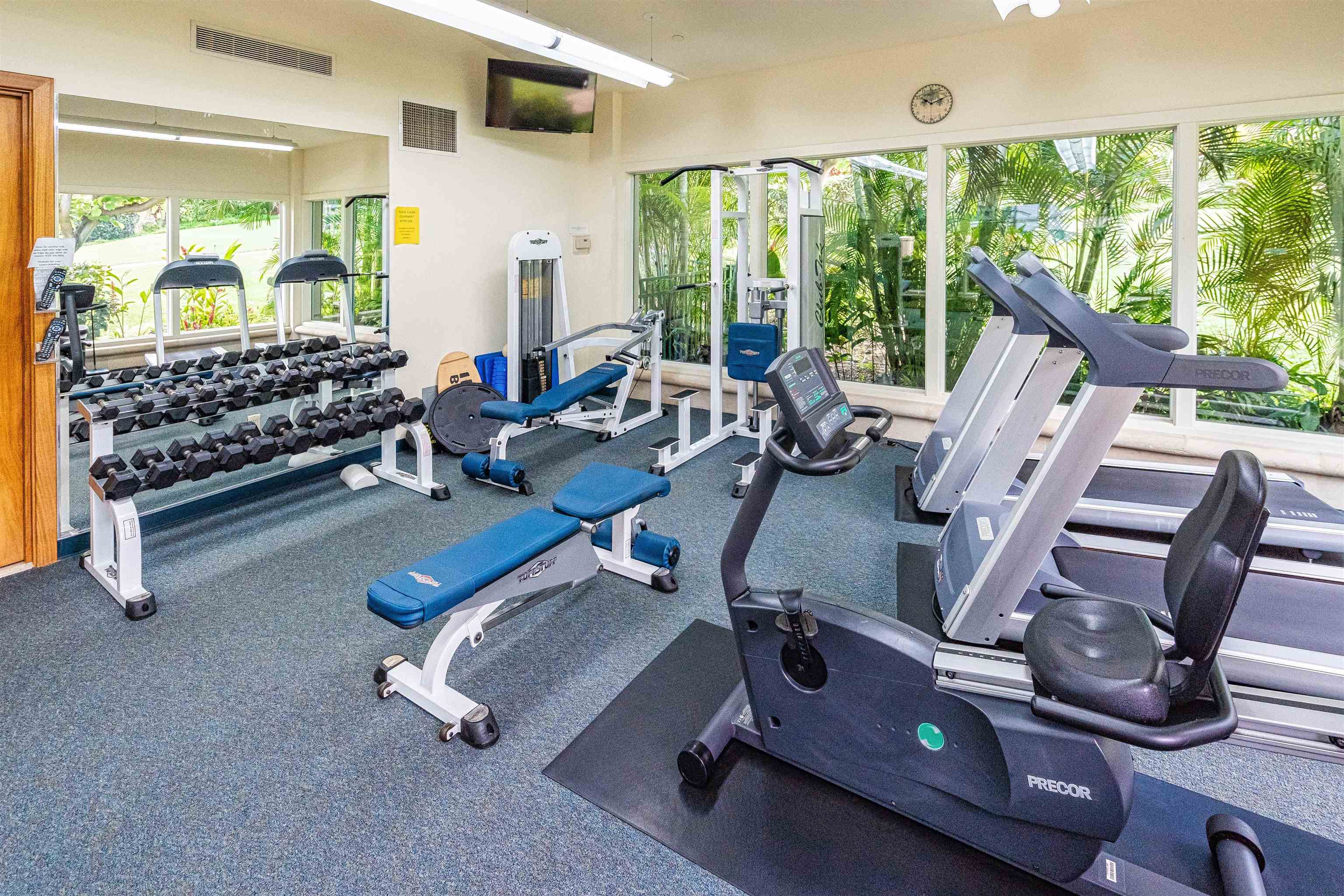 4955 Makena Road, Unit E301 Kihei, HI 96753 - Photo 21 of 22 a room with gym equipment