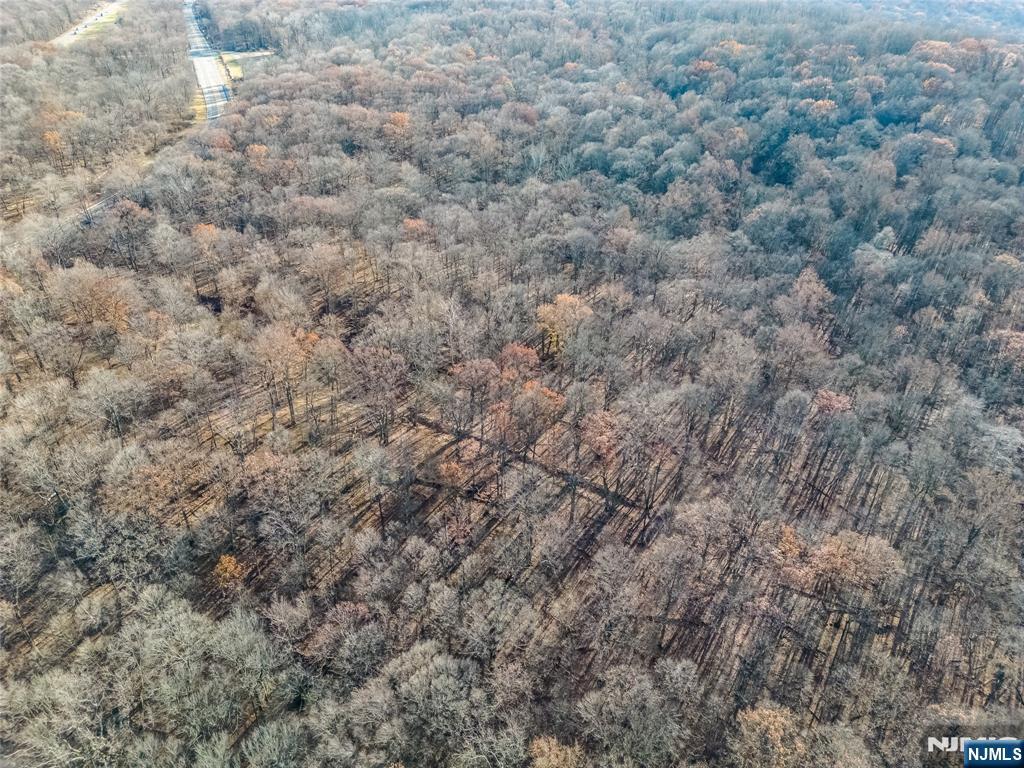 6 Old Farm Way Alpine, NJ 07620 - Photo 18 of 23 a view of a dry yard with a tree