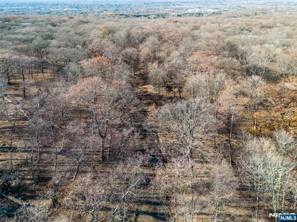 6 Old Farm Way Alpine, NJ 07620 - Photo 21 of 23