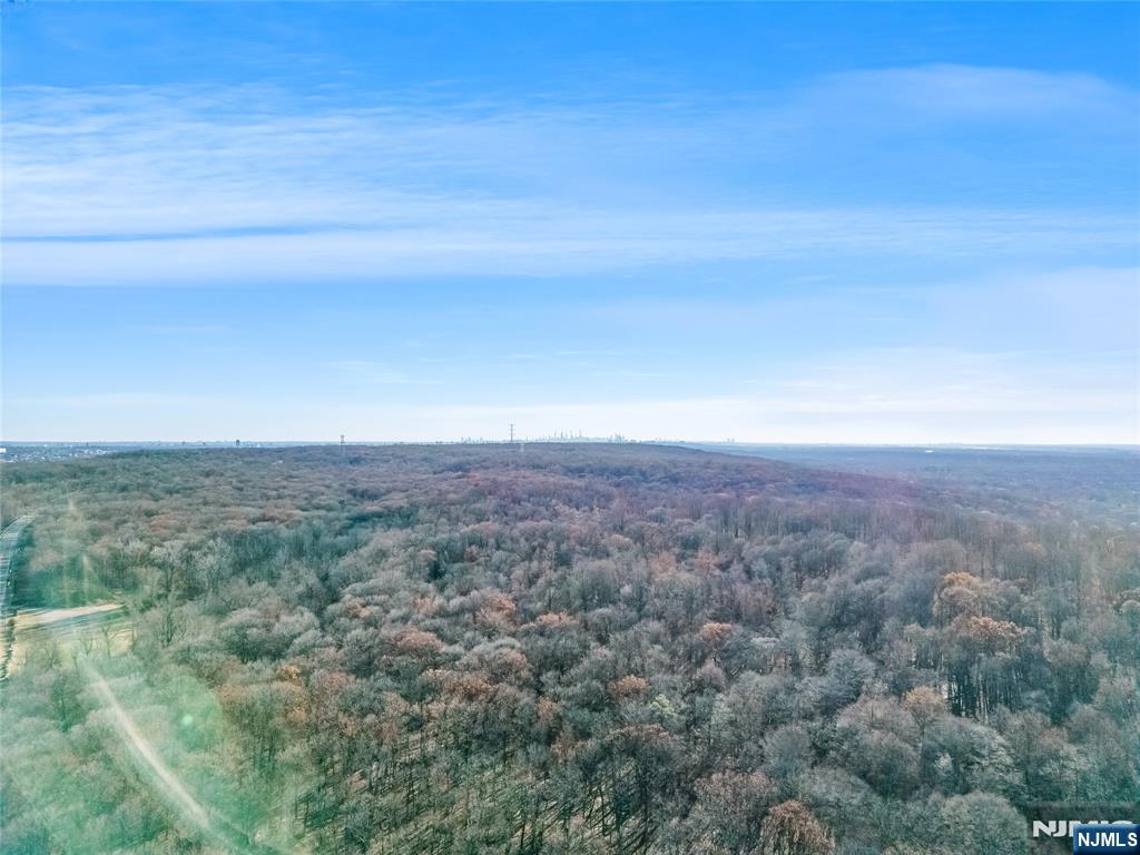 6 Old Farm Way Alpine, NJ 07620 - Photo 22 of 23 an aerial view of house with yard and mountain view in back
